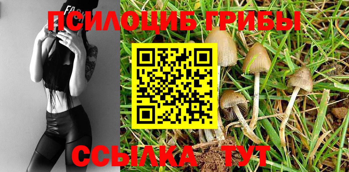 Псилоцибиновые грибы ЛСД Гурьевск