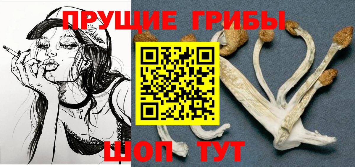 Галлюциногенные грибы MAGIC MUSHROOMS  Вход с VPN  где купить наркоту  Гурьевск 